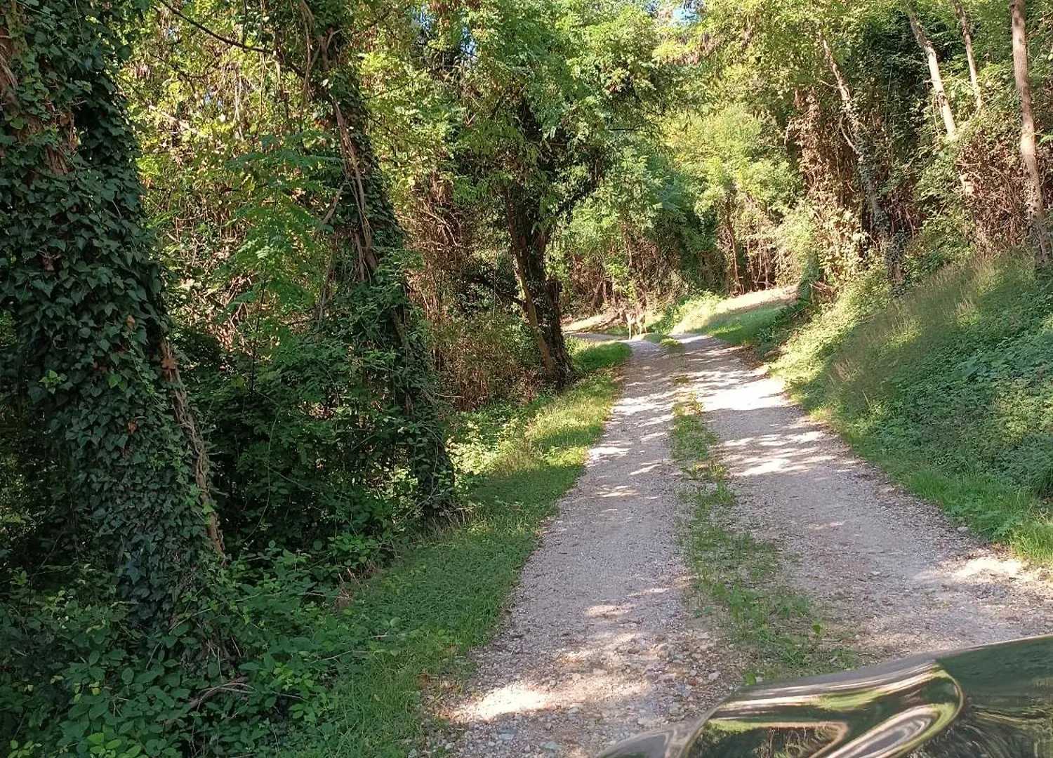 Agriturismo La Collina Delle Api Castelcucco Farm stay