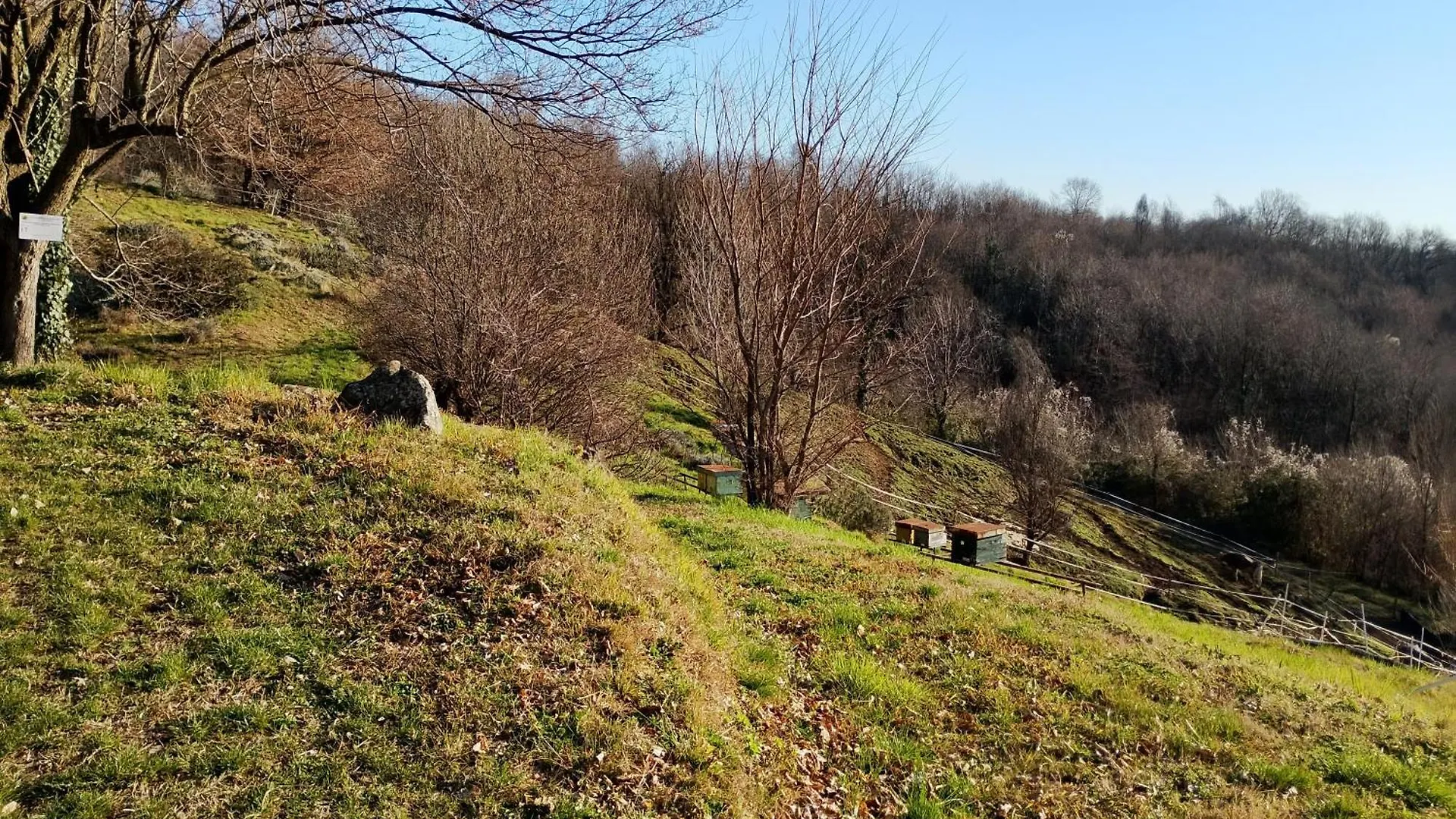 Agriturismo La Collina Delle Api Castelcucco Italy