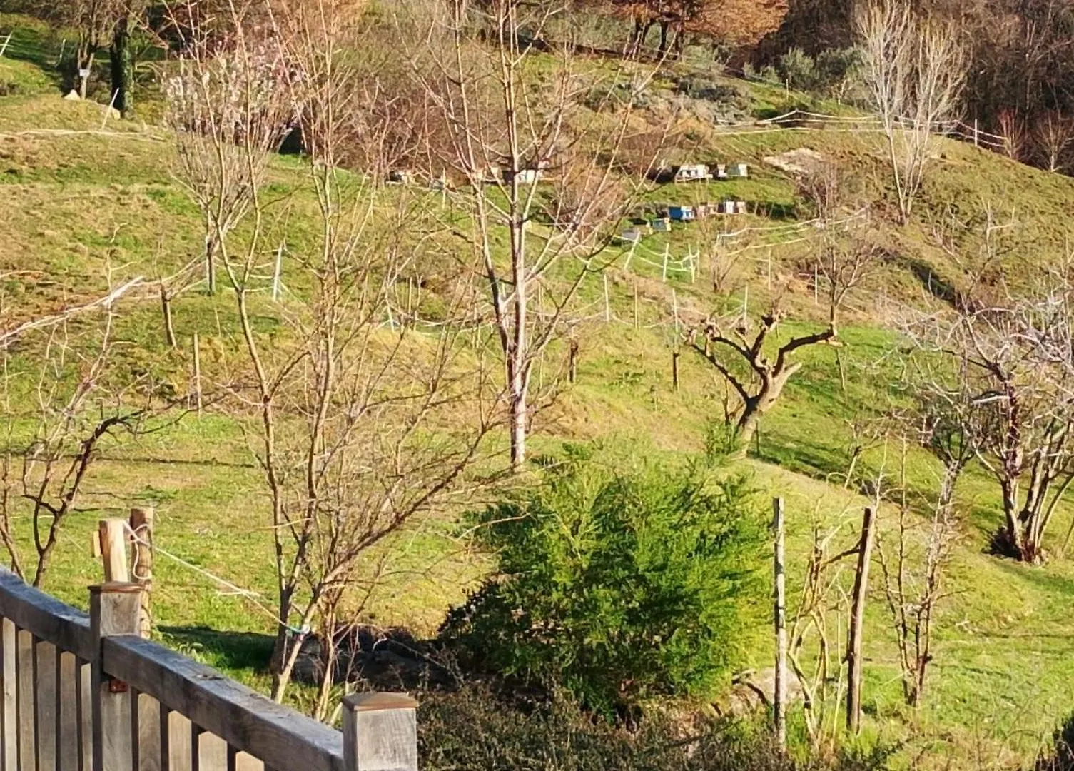 Agriturismo La Collina Delle Api Castelcucco