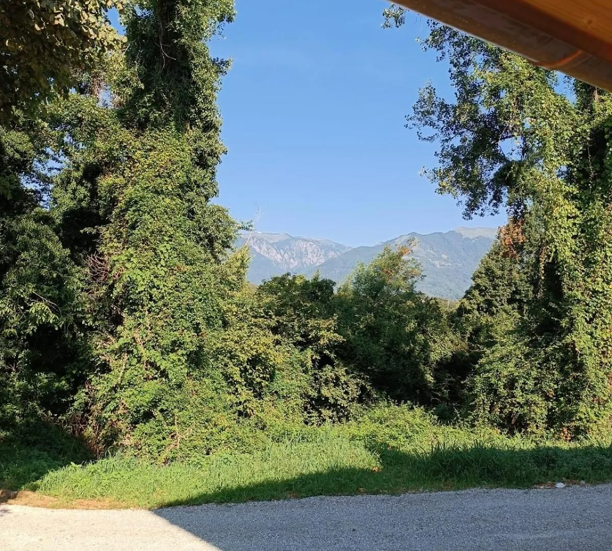 Alloggio per agriturismo Agriturismo La Collina Delle Api Castelcucco