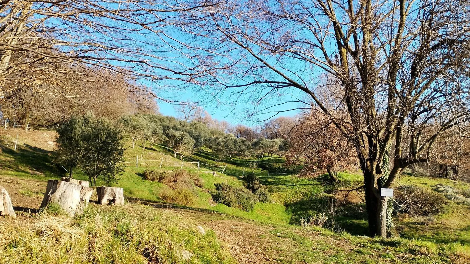 Alloggio per agriturismo Agriturismo La Collina Delle Api Castelcucco